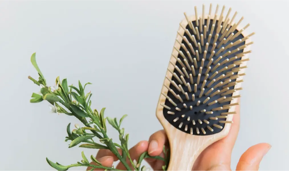 Tek Brushes Tek Brushes Australian Distributor for Professional Hairdresser